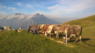 Macugnaga - "Voci d’alpeggio", due giorni per celebrare la montagna che resiste