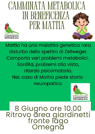 Omegna - Cammina per Mattia: raccolti 1.881 euro con un evento carico di energia e solidarietà