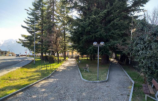 Villadossola - Alberi pericolanti al Parco delle Rimembranze: scatta l’ordinanza di messa in sicurezza