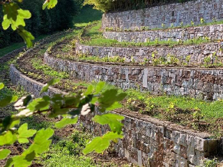 Miazzina - Terrazzamenti e dissesto idrogeologico: un convegno per riflettere sul paesaggio montano